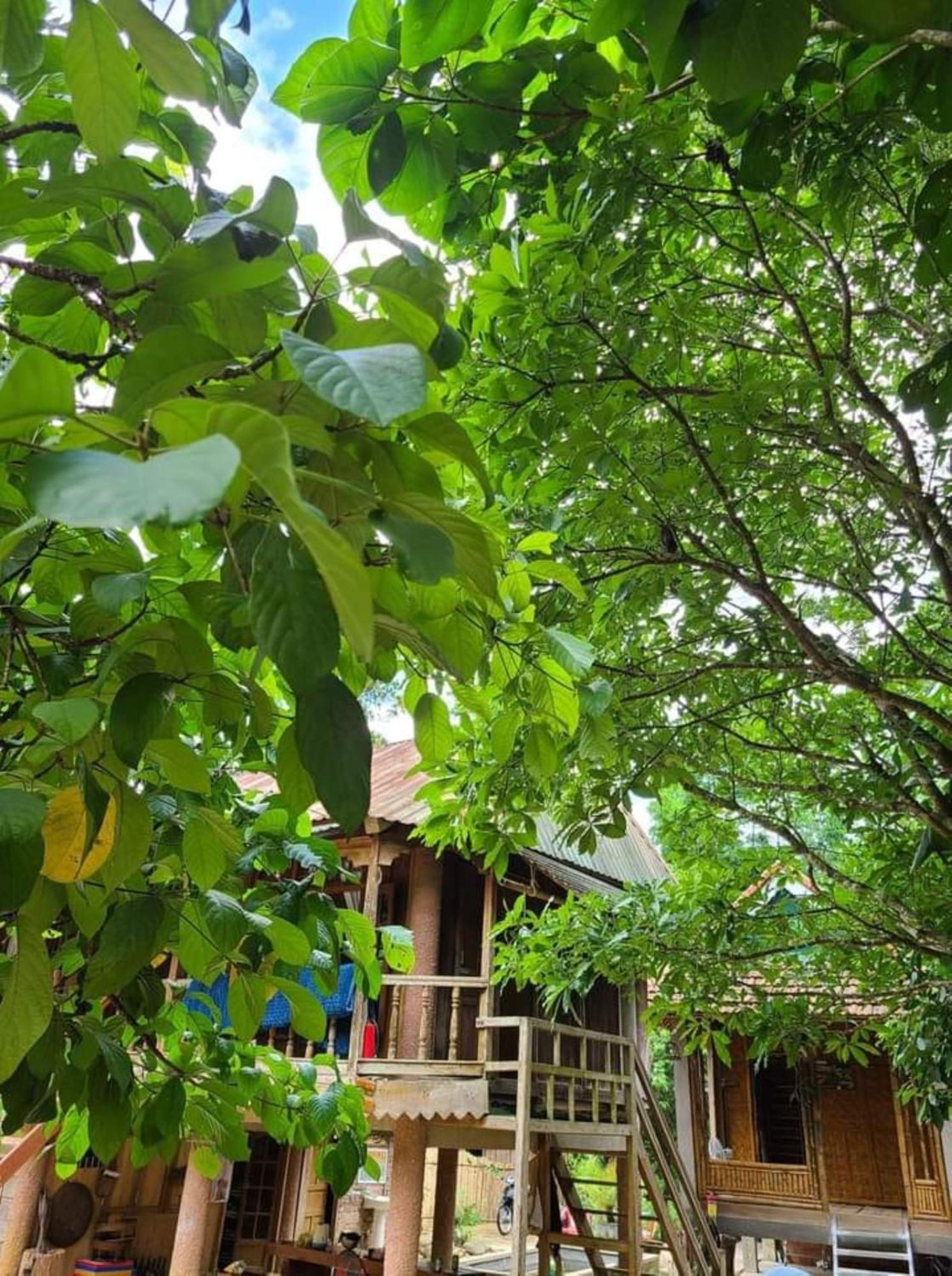 Homestay Ho Son - Thac Anor A Luoi Exterior photo